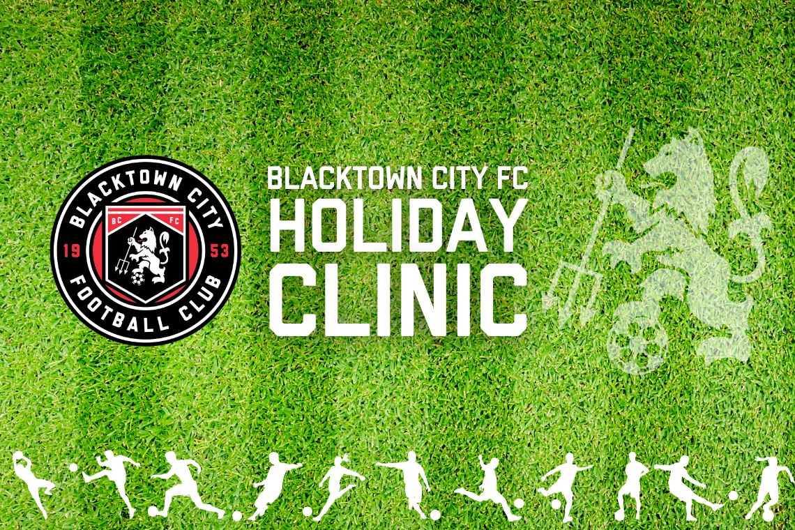 Holiday Clinic Banner (300 × 200px)